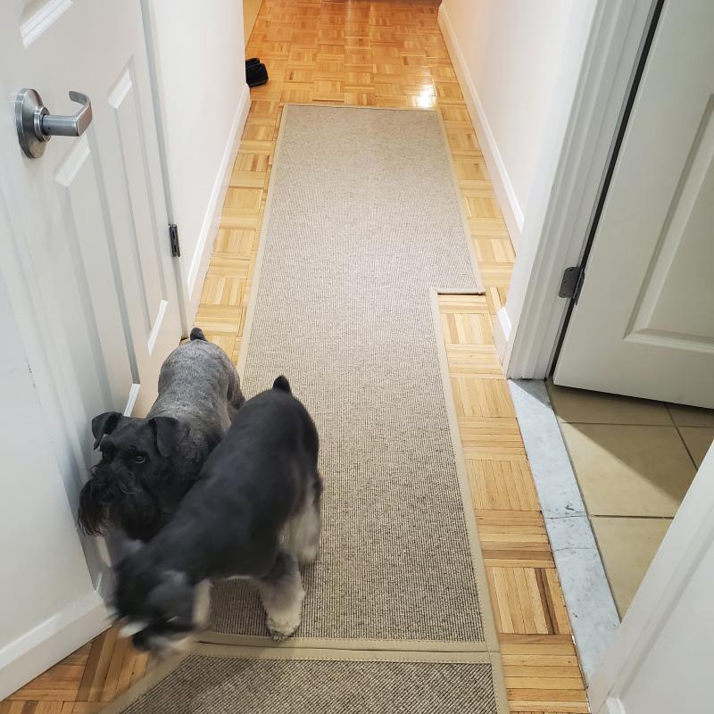 Create a Soho Wool Commercial Hospitality Rug & Carpet