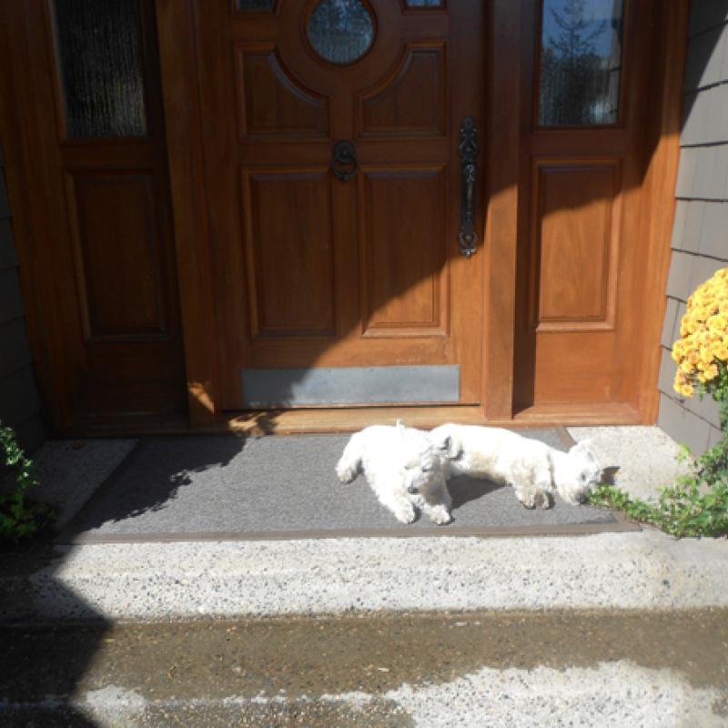 Belize Outdoor Sisal Polypropylene Rug Collection Sisal Rugs Direct