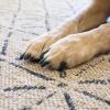 Indoor and outdoor rugs for pets. Easy to vacuum and clean up from pets. Stella in the color night.