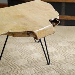 Rosarito dune sunroom custom shape rugs
