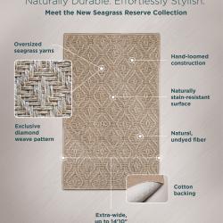 Seagrass Reserve rug infograph