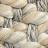 Chia rug color option.