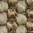 Ripple Sterling <small>Discontinued</small>