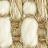 Merino Wheatberry