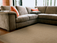 Natural Fiber Area Rug in a Living Room