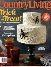 Country Living October 2013 Sisal Rugs Direct faux sisal