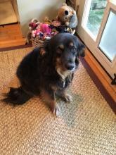 The Top 4 Reasons To Cover Your Hardwood Floors | Sisal Rugs Direct