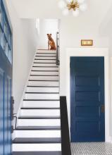 Dog at the Top of Hardwood Stairs