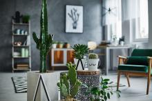 Greenery and plants 2018 interior design trends