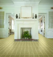 foyer with a hudson nylon rug in sandstone