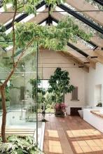 Room with lots of natural light and plants