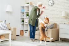 organize your pet care supplies