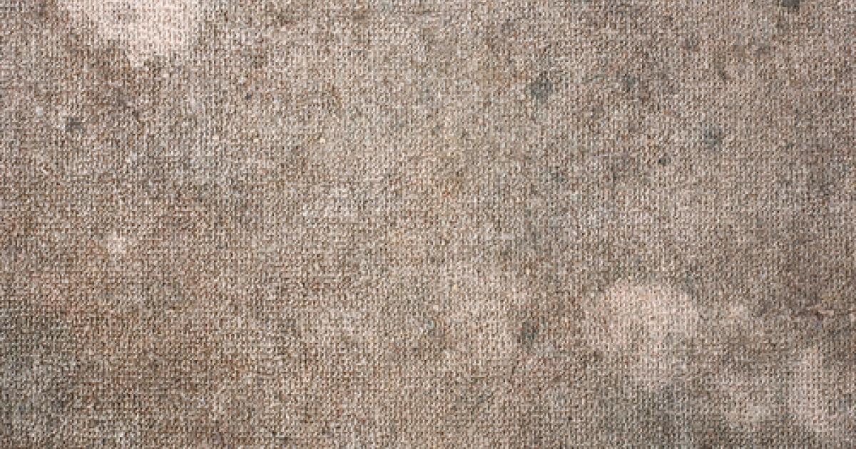 How to Prevent Carpet Mold and Mildew Growth